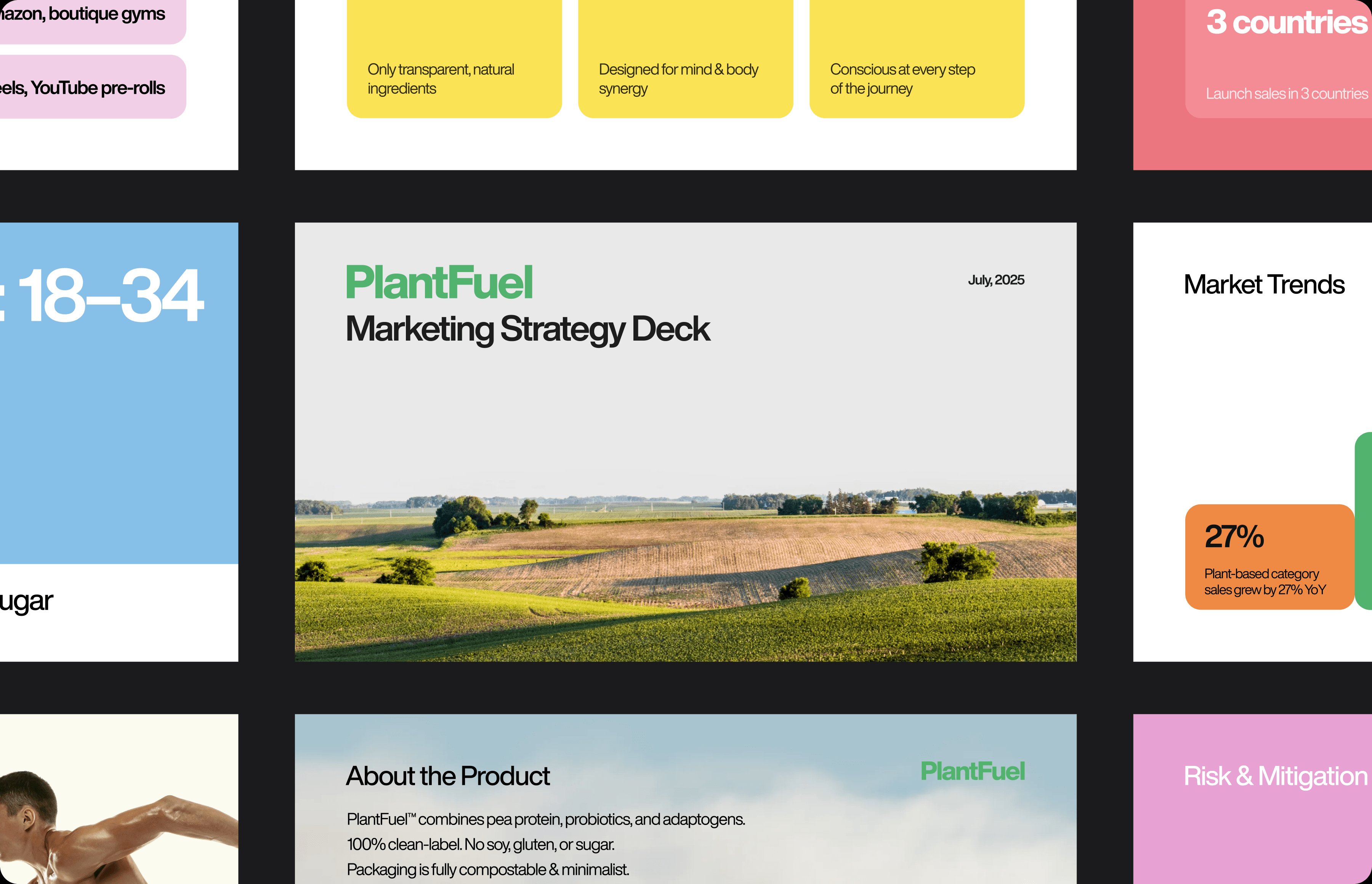 PlantFuel marketing strategy concept slide